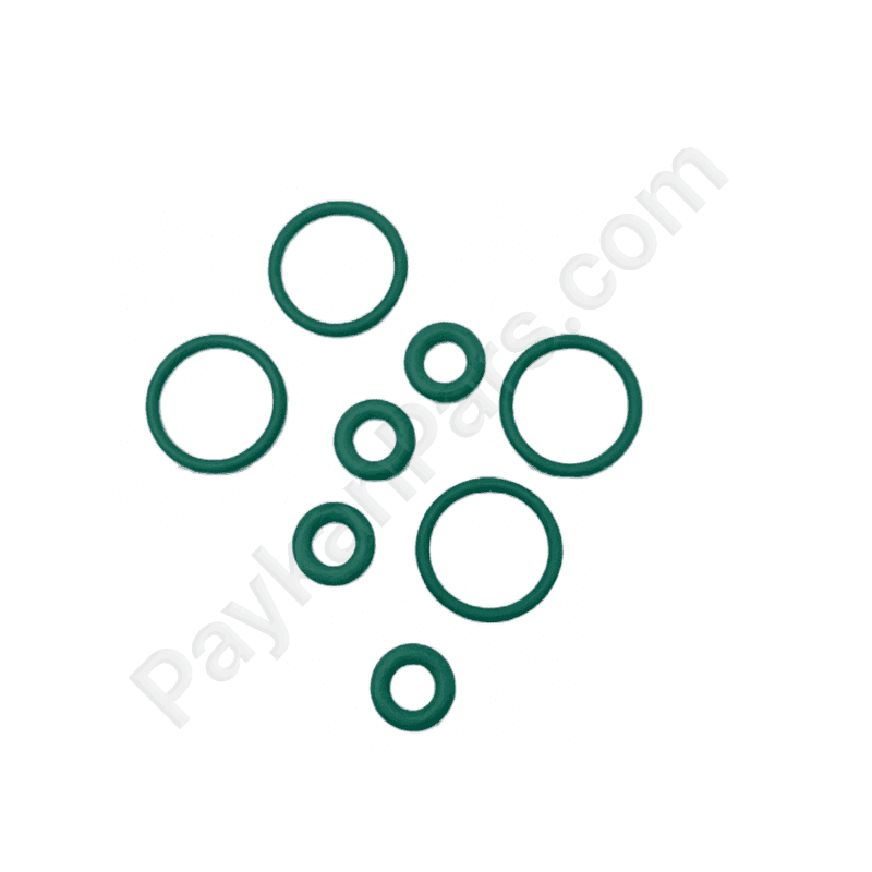 اورينگ سوزن انژکتور قديم (دست) پژو 405